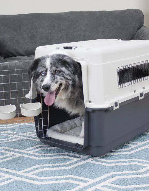 Load image into Gallery viewer, Plastic Dog IATA Airline Approved Kennel Carrier, Large
