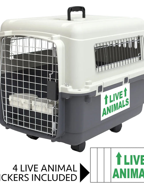 Load image into Gallery viewer, Plastic Dog IATA Airline Approved Kennel Carrier, Large
