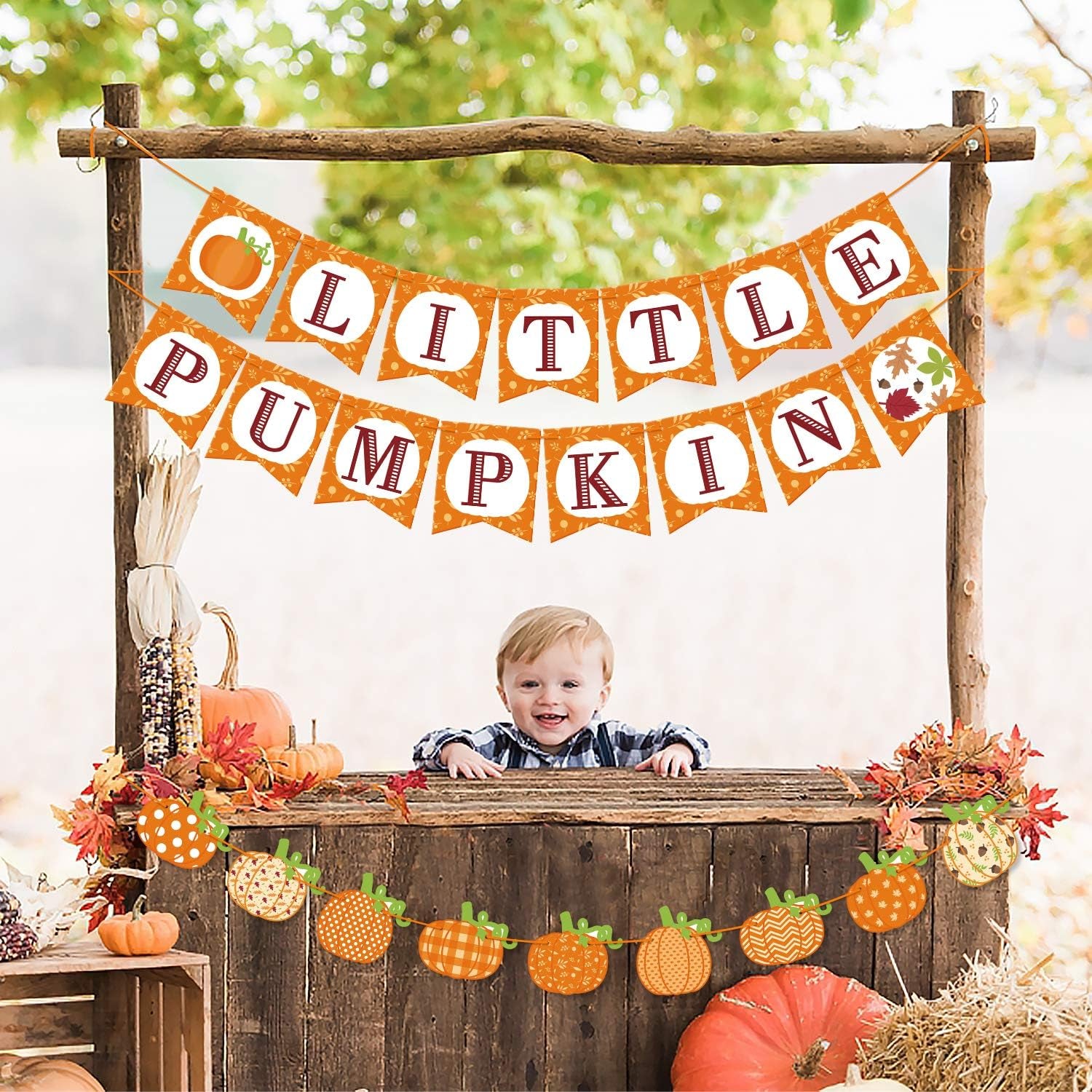 Little Pumpkin Banner, the Cutest Pumpkin in the Patch Welcome Little Pumpkin for Fall Baby Shower Baby Boys Girls Birthday Party Supplies